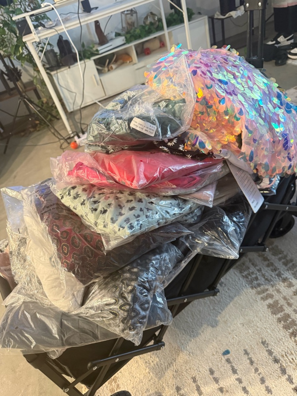 RESELLER BUNDLE: Motel Rocks NWT